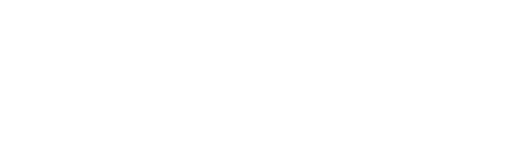 fantasia